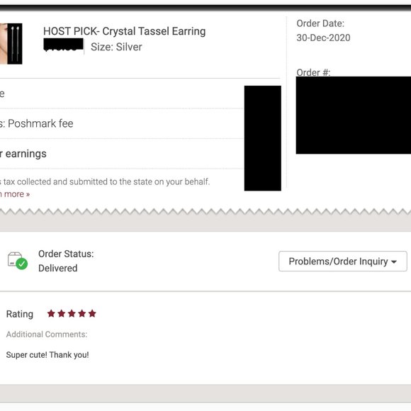 HOST PICK- Crystal Tassel Earring - Picture 6 of 6